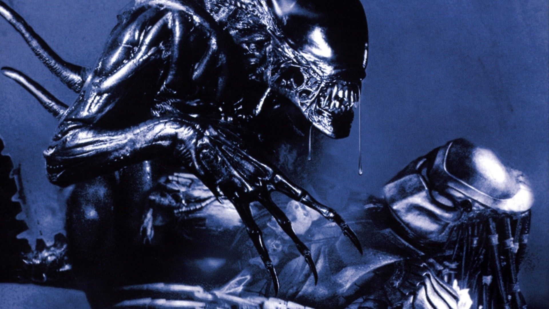 AVP: Alien vs. Predator (2004) - Marking the Hunter Scene (3/5)