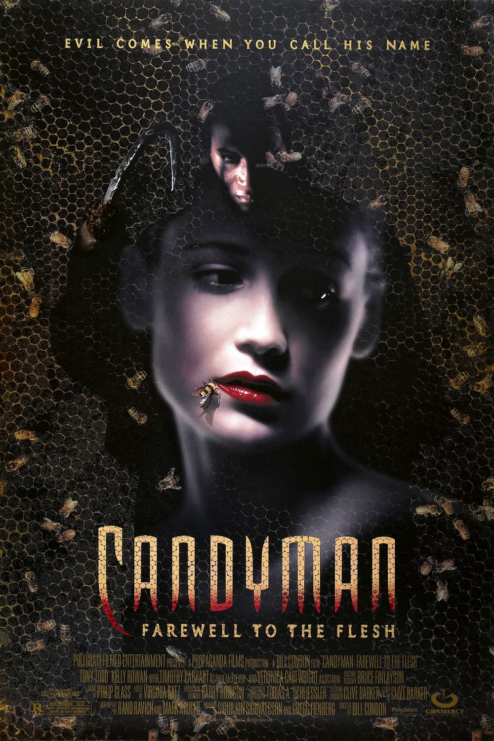 the forbidden candyman book