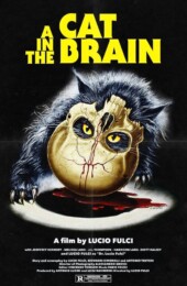 A Cat in the Brain (1990) poster