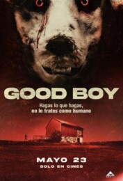 Good Boy (2022) poster