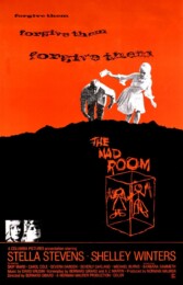 The Mad Room (1969) poster