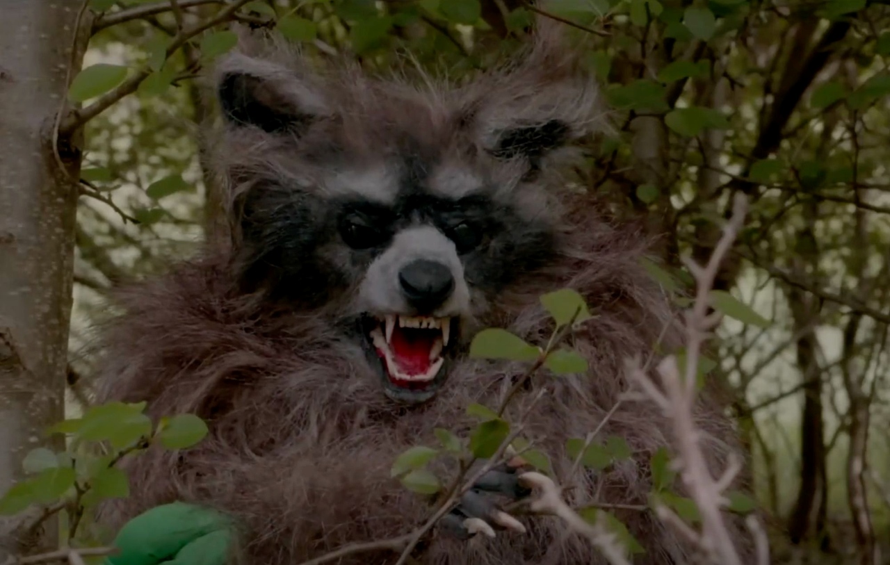 A drug-addicted raccoon in Crackcoon (2024)