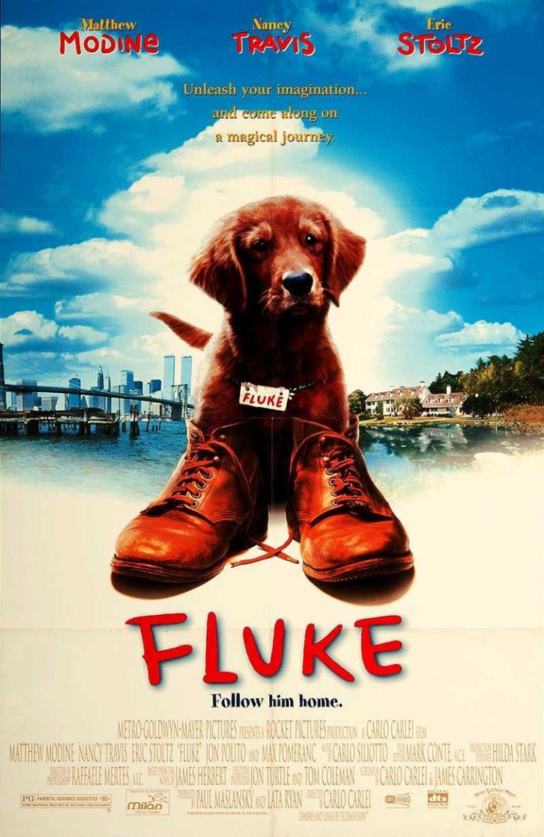 Fluke (1995)