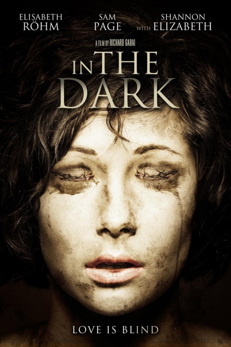 In the Dark (2013)
