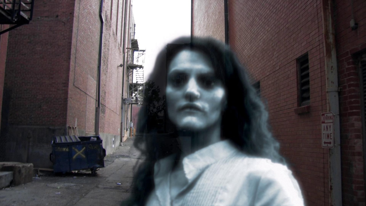 Pulse 2 (2008)